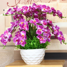 Load image into Gallery viewer, Orchid 100 Pcs Phalaenopsis Bonsai Perennial Flower Bonsai Home Garden Four Seasons Plants Bonsai Flowers Easy To Grow