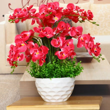 Load image into Gallery viewer, Orchid 100 Pcs Phalaenopsis Bonsai Perennial Flower Bonsai Home Garden Four Seasons Plants Bonsai Flowers Easy To Grow