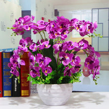 Load image into Gallery viewer, Orchid 100 Pcs Phalaenopsis Bonsai Perennial Flower Bonsai Home Garden Four Seasons Plants Bonsai Flowers Easy To Grow