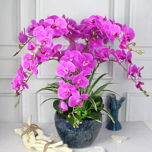 Orchid 100 Pcs Phalaenopsis Bonsai Perennial Flower Bonsai Home Garden Four Seasons Plants Bonsai Flowers Easy To Grow