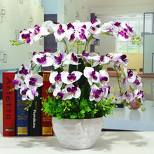 Load image into Gallery viewer, Orchid 100 Pcs Phalaenopsis Bonsai Perennial Flower Bonsai Home Garden Four Seasons Plants Bonsai Flowers Easy To Grow